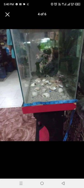 Fish aquarium with all equipment 4