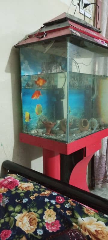 Fish aquarium with all equipment 5