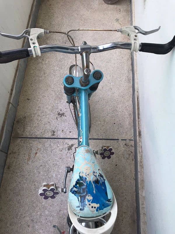 Frozen Themed Bicycle 1