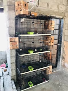 8 portion Cages