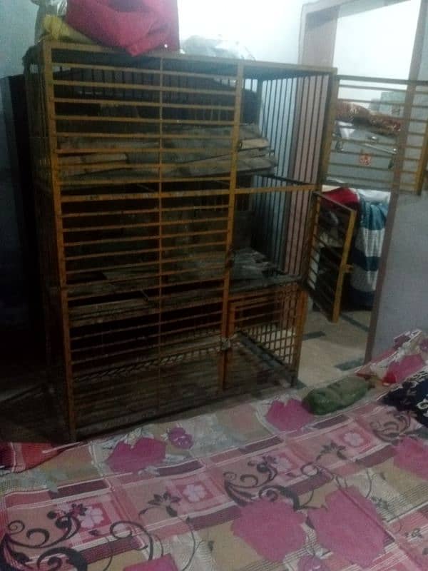 3 portion cage for hen or egg laying hen 2