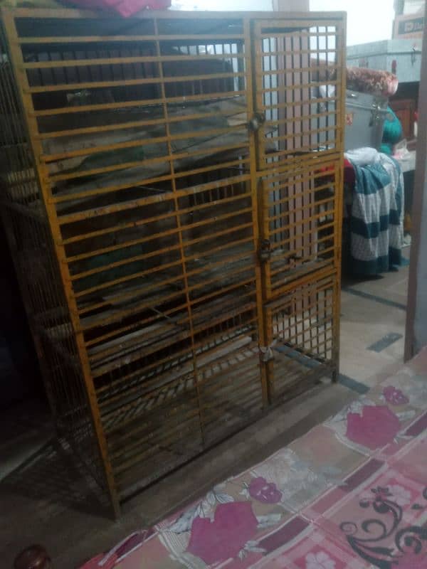 3 portion cage for hen or egg laying hen 3