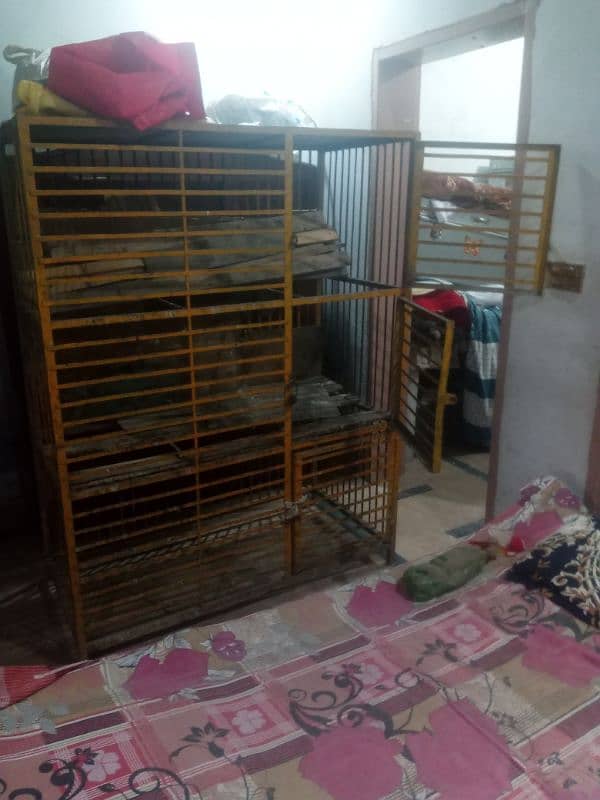 3 portion cage for hen or egg laying hen 5