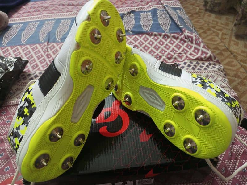 CA KAMO CRICKET SPIKES 6