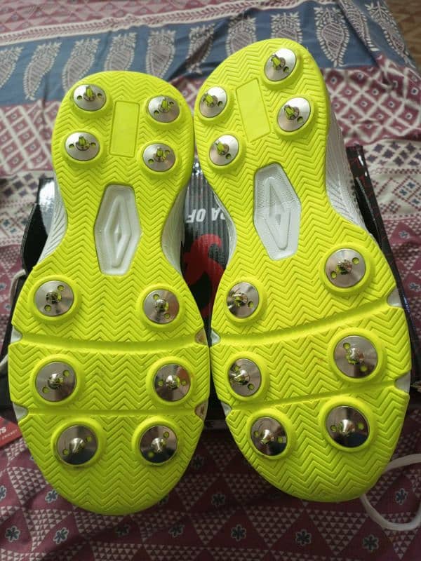 CA KAMO CRICKET SPIKES 7