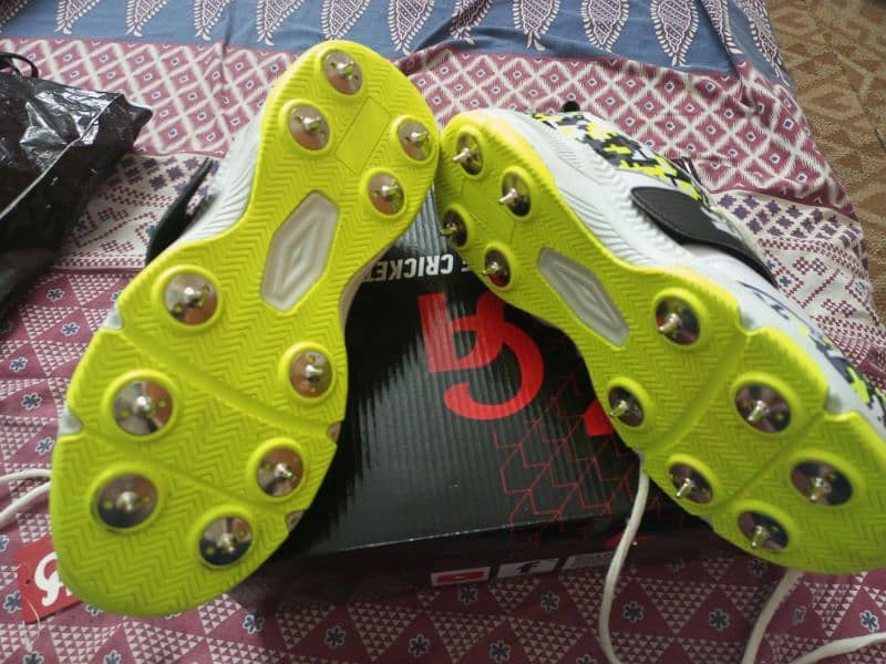 CA KAMO CRICKET SPIKES 8