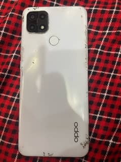 oppo