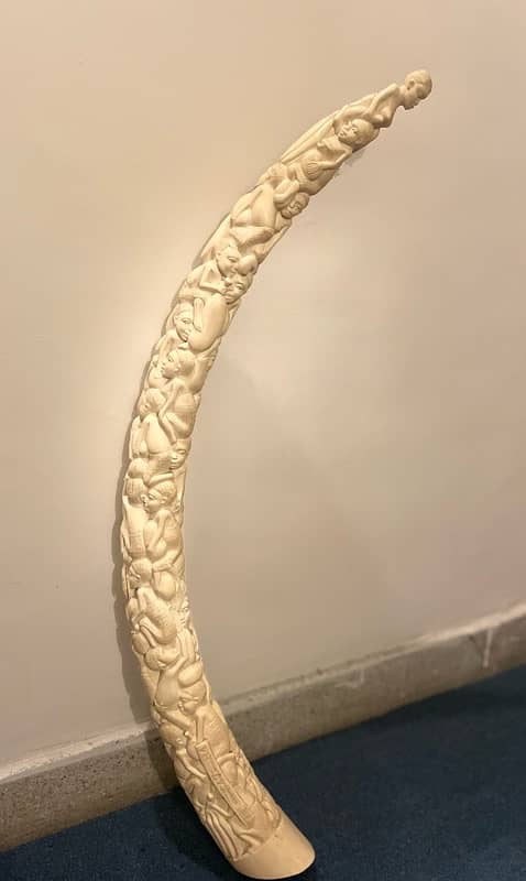 Ivory Tusk for Sale 1