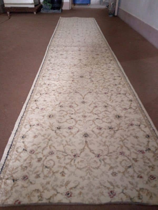 Entrance rug 1