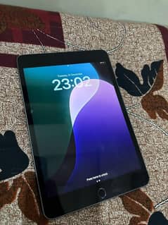 i pad mini 5