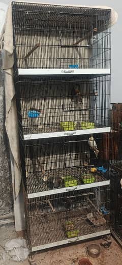 4 layer new cage for birds