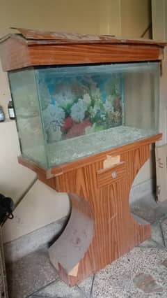 fish aquarium