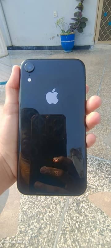 IPHONE XR 64 gb 3