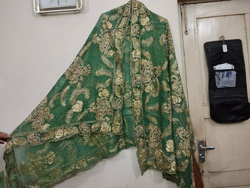 Heavily embrioded bridal dupatta 4