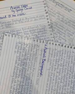 hand writing assignment work