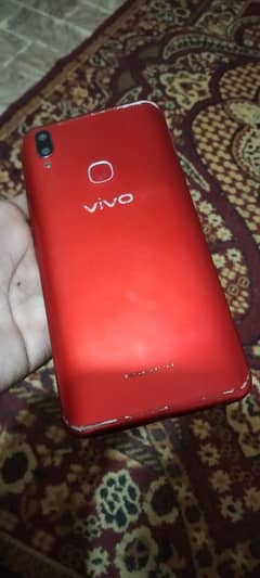 vivo