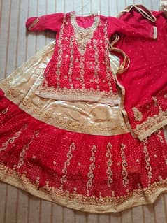 bridal sharara