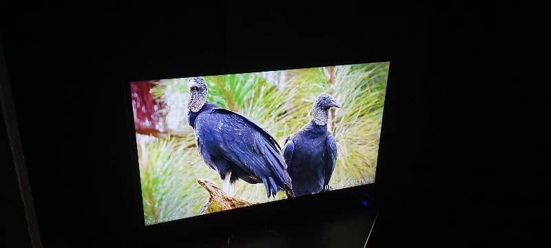 Samsung Android/Smart Tv Led UHD 4K 60fps 17