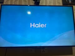 haier