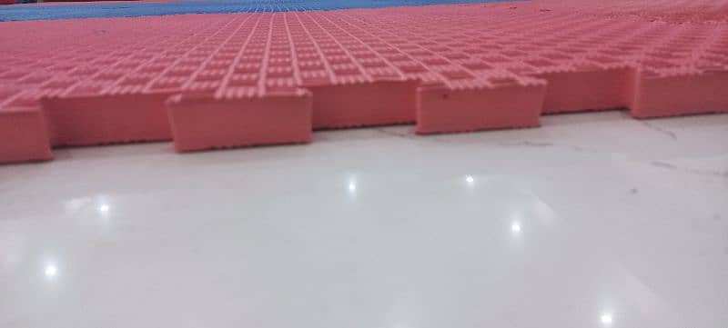 Taekwondo/Judo/Karate Matts 2