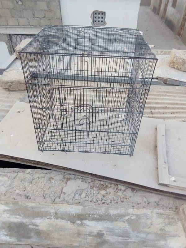 cage for sale 1