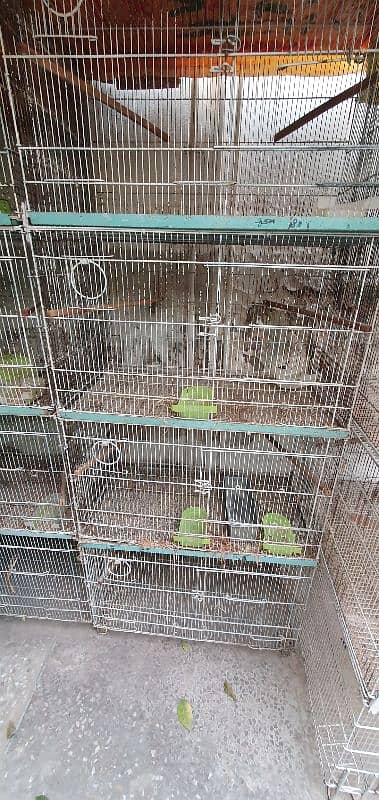 Dog,  Cat house, Birds Travel Cage 2