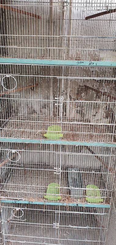 Dog,  Cat house, Birds Travel Cage 3