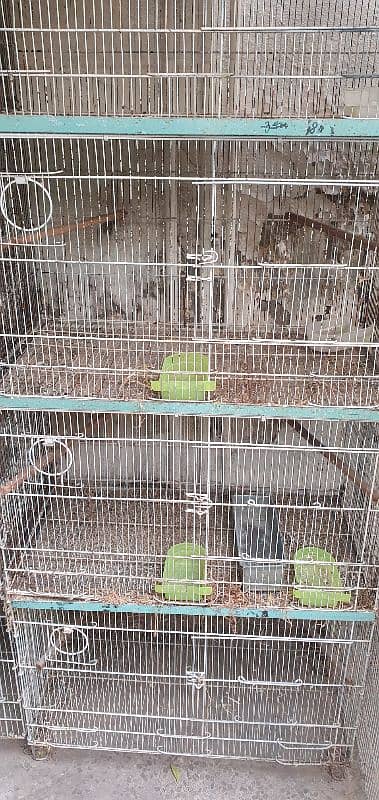 Dog,  Cat house, Birds Travel Cage 4