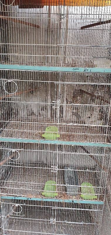 Dog,  Cat house, Birds Travel Cage 5