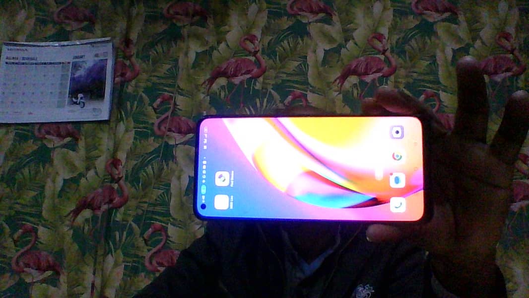 oppo f19 pro 0