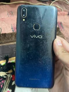 vivo