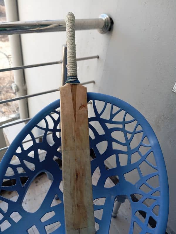 English willow bat few months used 4