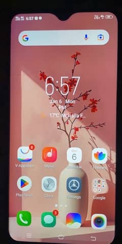 vivo y91c