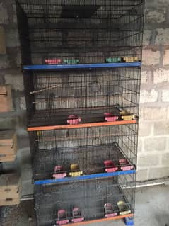 cage for sale