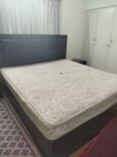 molty foam mattress