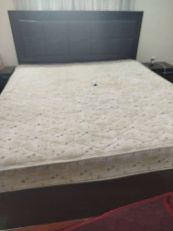 molty foam mattress 2