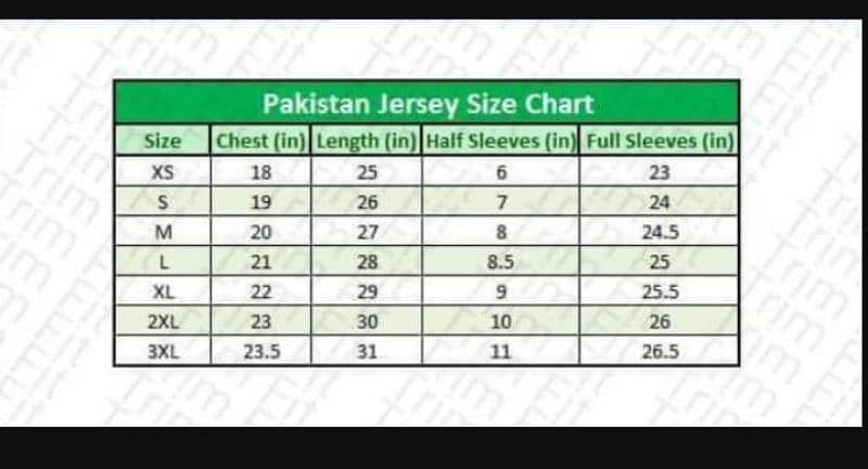 this is the cricket held in low price best quality 3