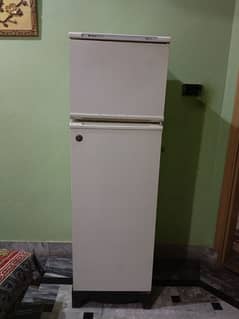 Indesit Tropical Refrigerator (Fridge) Made in Italy