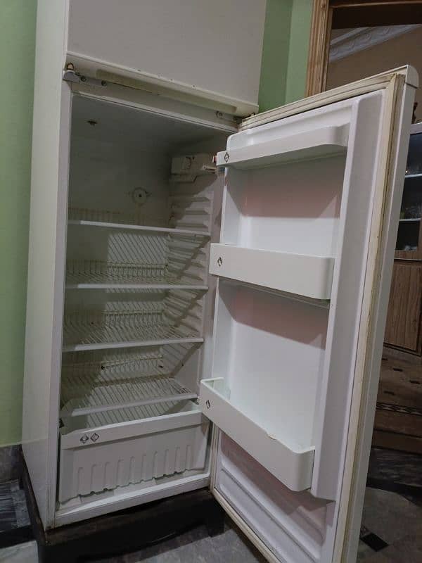 Indesit Tropical Refrigerator (Fridge) Made in Italy 4