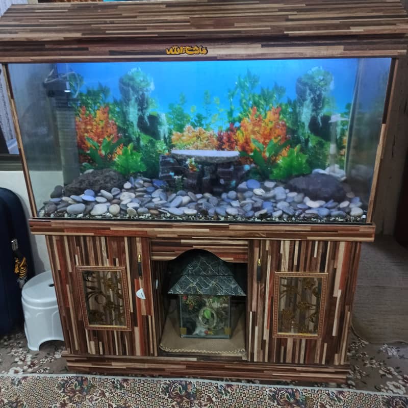 Fish Aquariums/ Aquariums For Sale / Fish / Turtle Aquarium 0