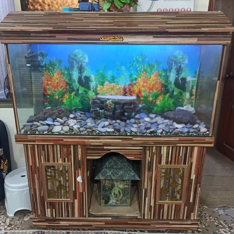 Fish Aquariums/ Aquariums For Sale / Fish / Turtle Aquarium 1