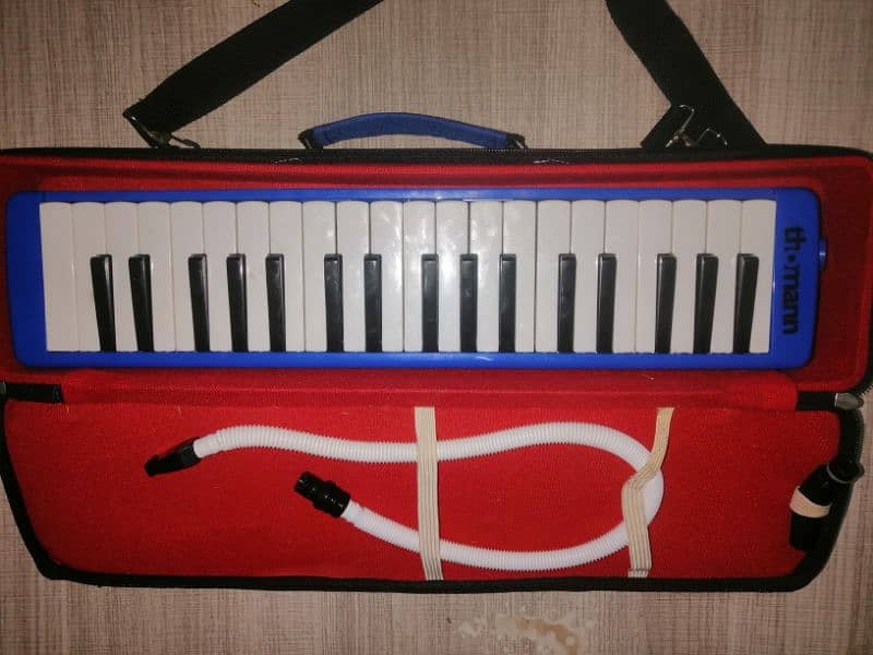 melodica lot ka piece ha container ka mall 0