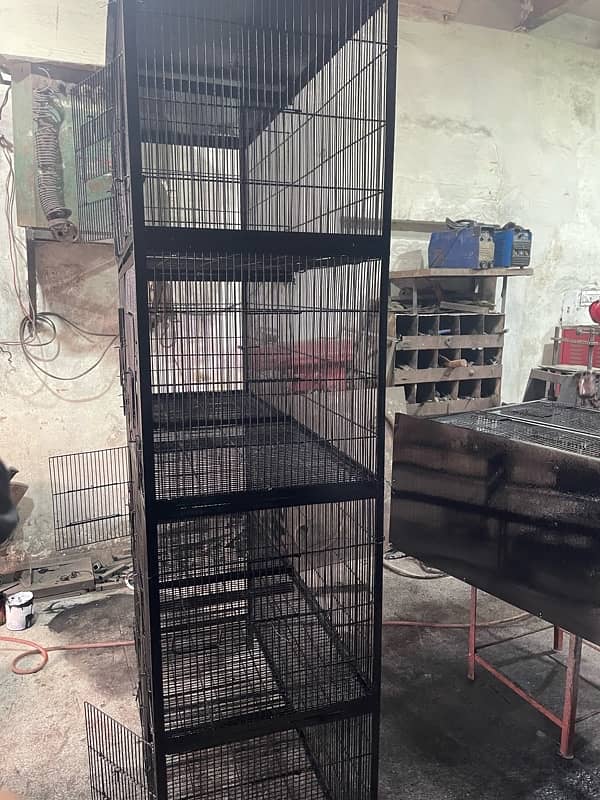 birds cage 4