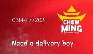 Delivery Boy