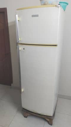 Electrolux fridge