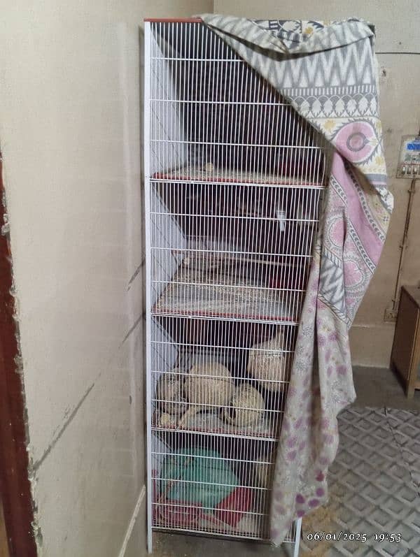 bird cage 2