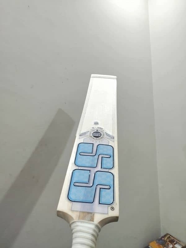 ORIGINAL KASHMIR WILLOW BAT 2