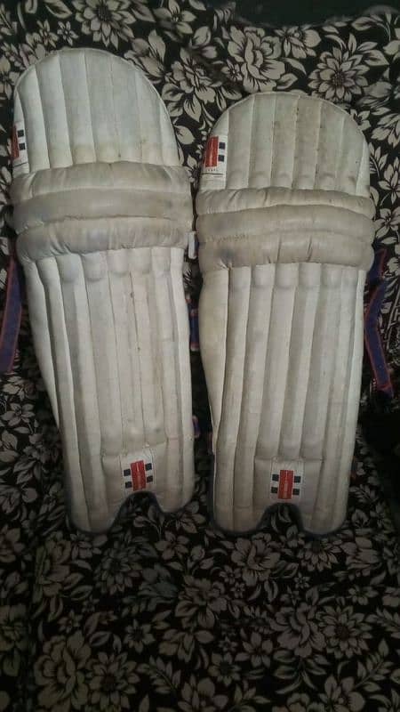 greenicole cricket pad 1