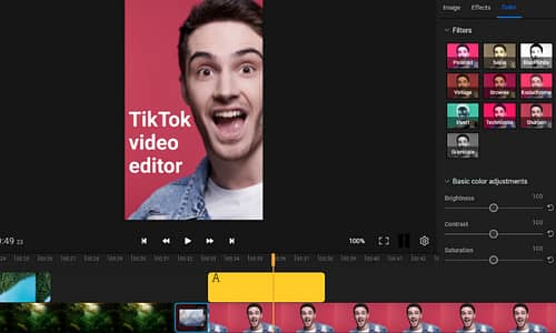 We Need Tiktok Manager and video Editor 03079128373 2