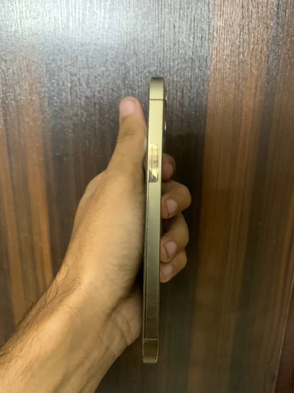 IPHONE 12 PRO PTA APPROVED 3